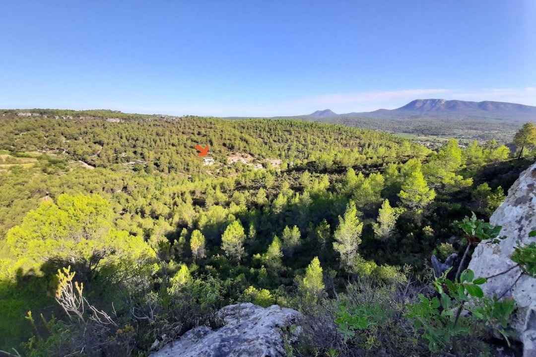 Photo of Others in Correns