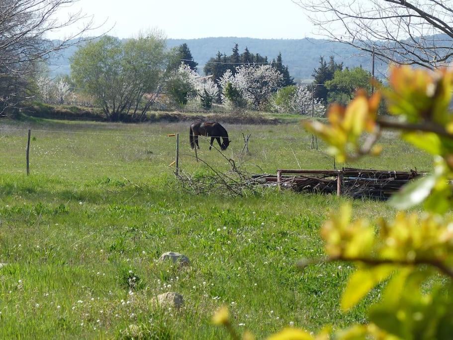 Photo of Outdoor in Pertuis