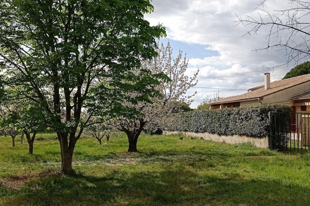 Photo of Others in Beaucaire