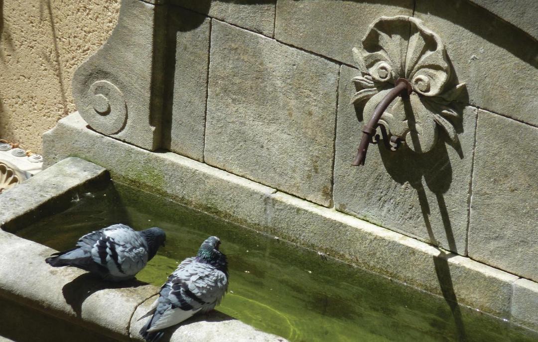 Photo of Others in Avignon