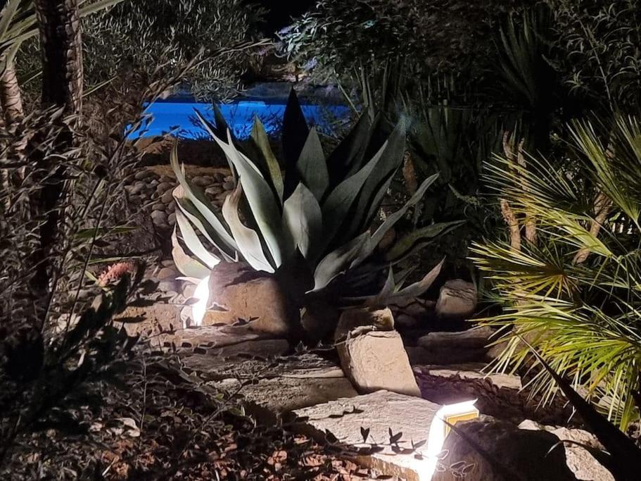 Photo of Others in Aix-en-Provence