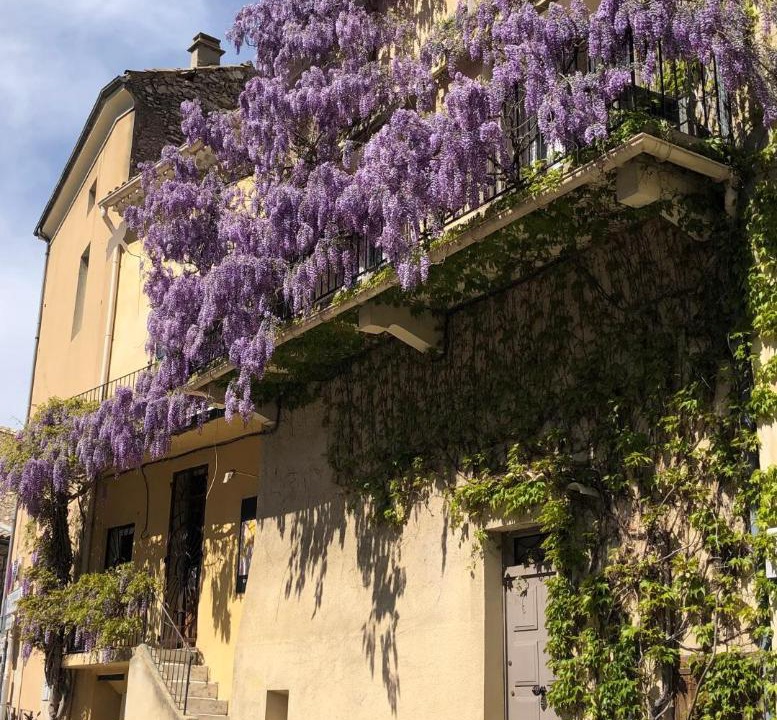 Photo of Others in Vaison-la-Romaine