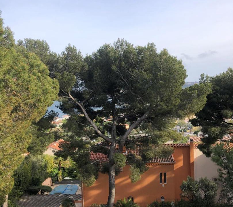 Photo of Others in Martigues
