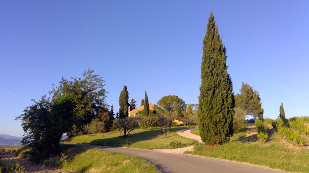 Photo of Others in Buisson