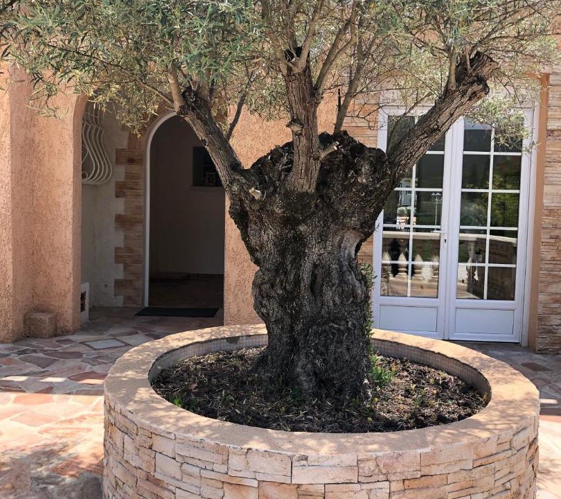 Photo of Others in Puget-sur-Argens
