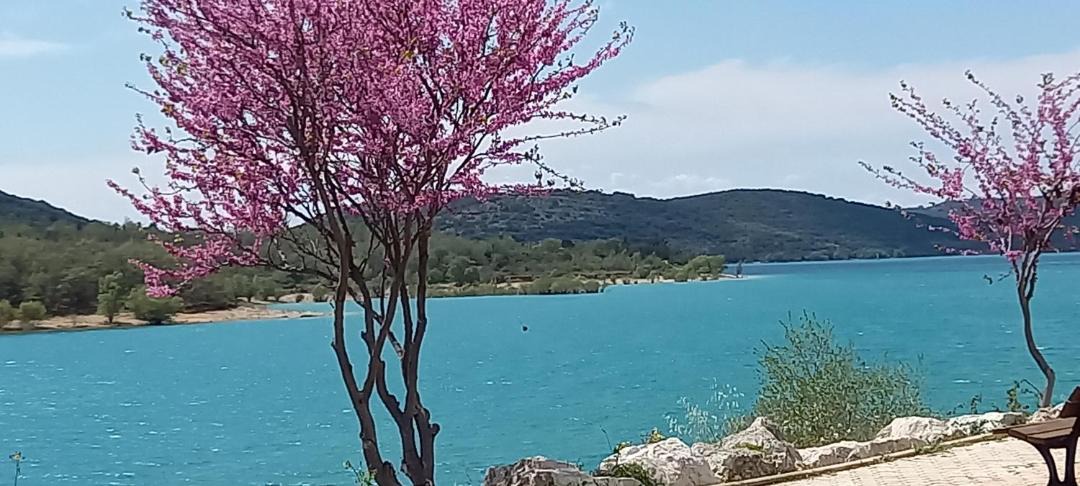 Photo of Others in Les Salles-sur-Verdon
