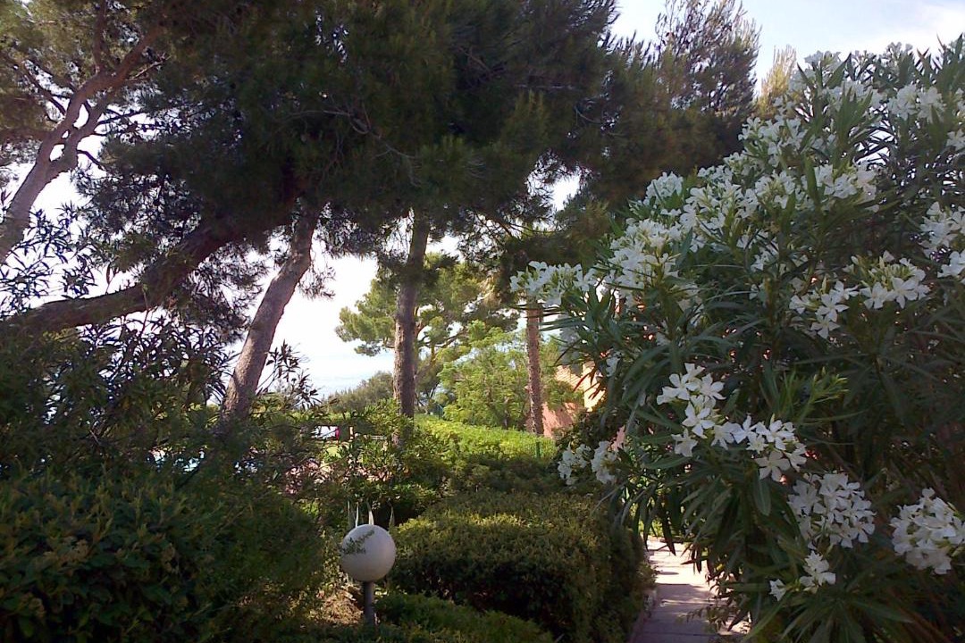Photo of Others in Saint-Mandrier-sur-Mer