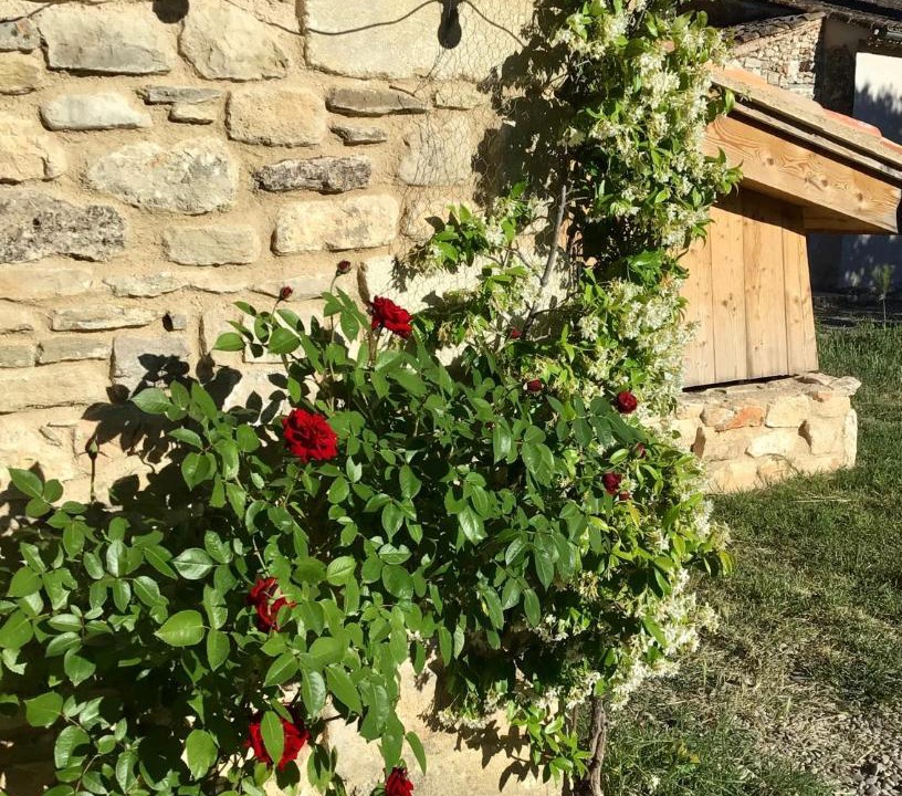 Photo of Buildings in Saint-Saturnin-les-Apt