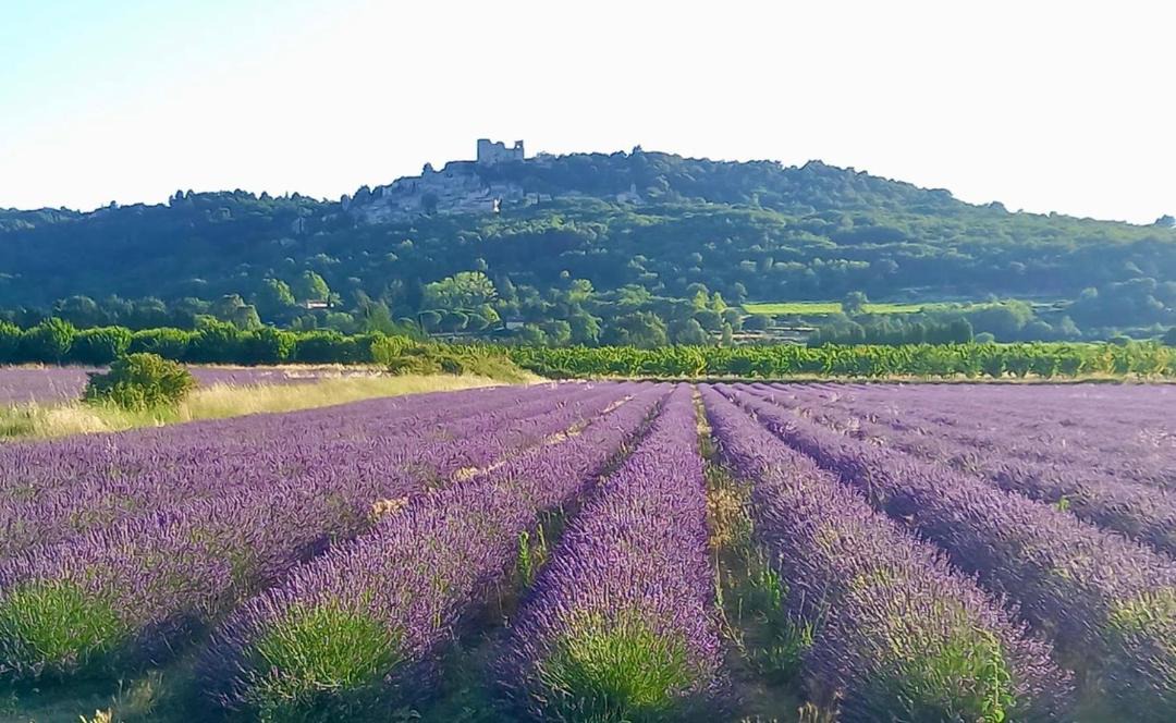 Photo of Outdoor in Lagnes