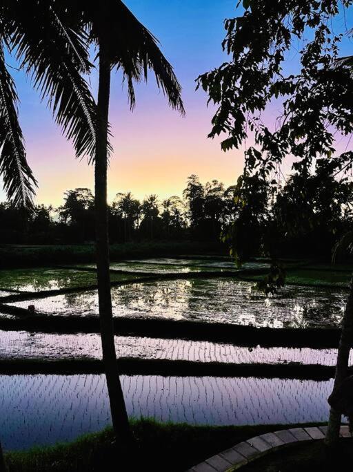 Photo of Outdoor in Lodtunduh