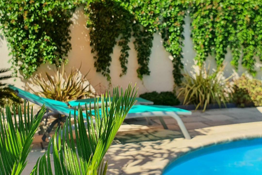 Photo of Outdoor in Comps