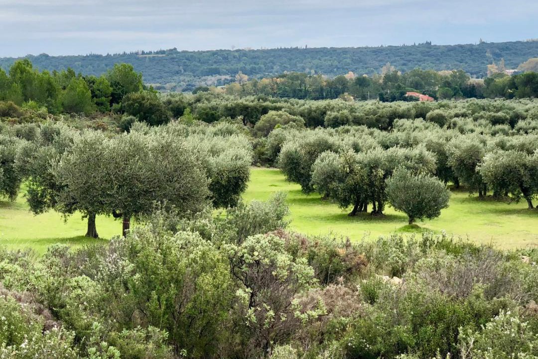 Photo of Outdoor in Mouries