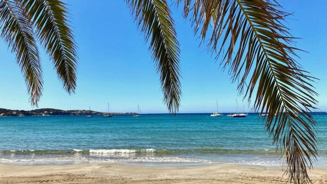 Photo of Others in Bandol