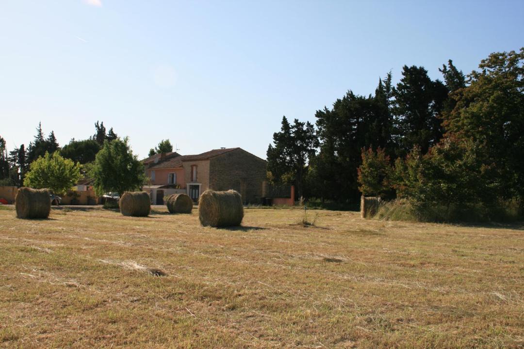 Photo of Buildings in Monteux