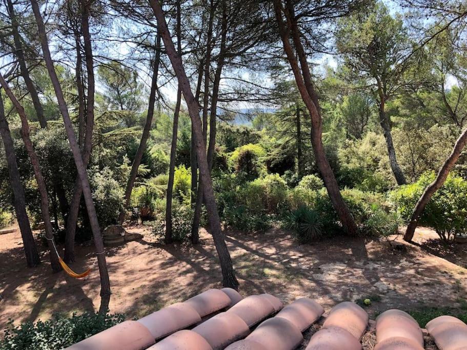 Photo of Others in La Bastide-des-Jourdans