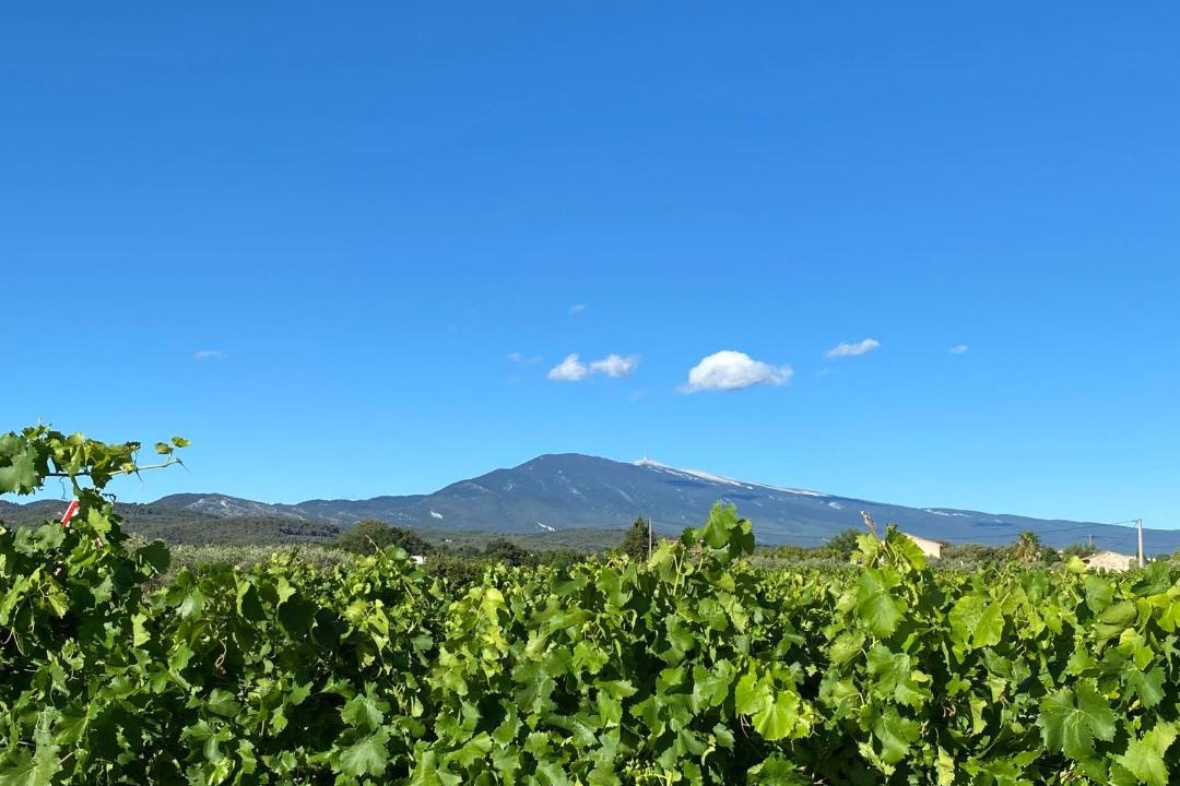 Photo of Outdoor in Caromb