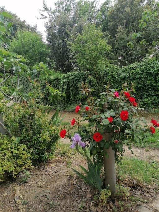 Photo of Others in Beaucaire