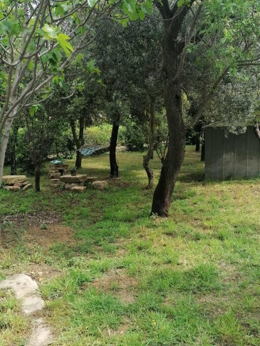 Photo of Others in Beaucaire