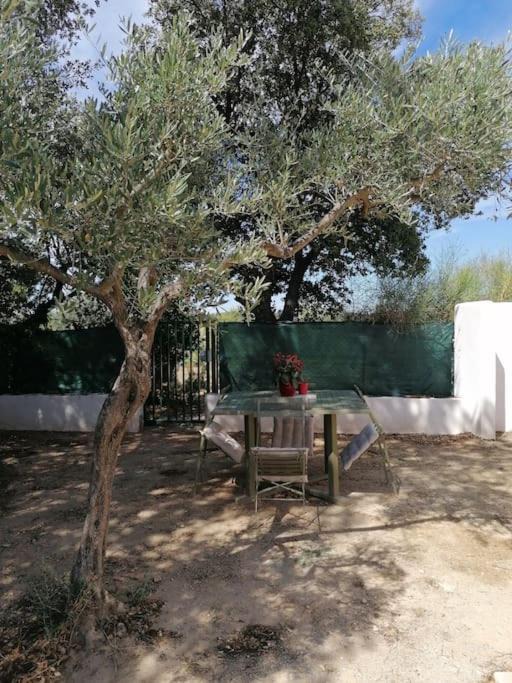 Photo of Others in Beaucaire