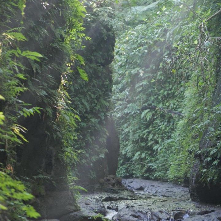 Photo of Others in Payangan
