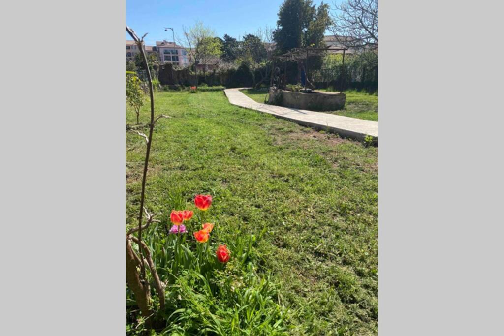 Photo of Others in Roquebrune-sur-Argens