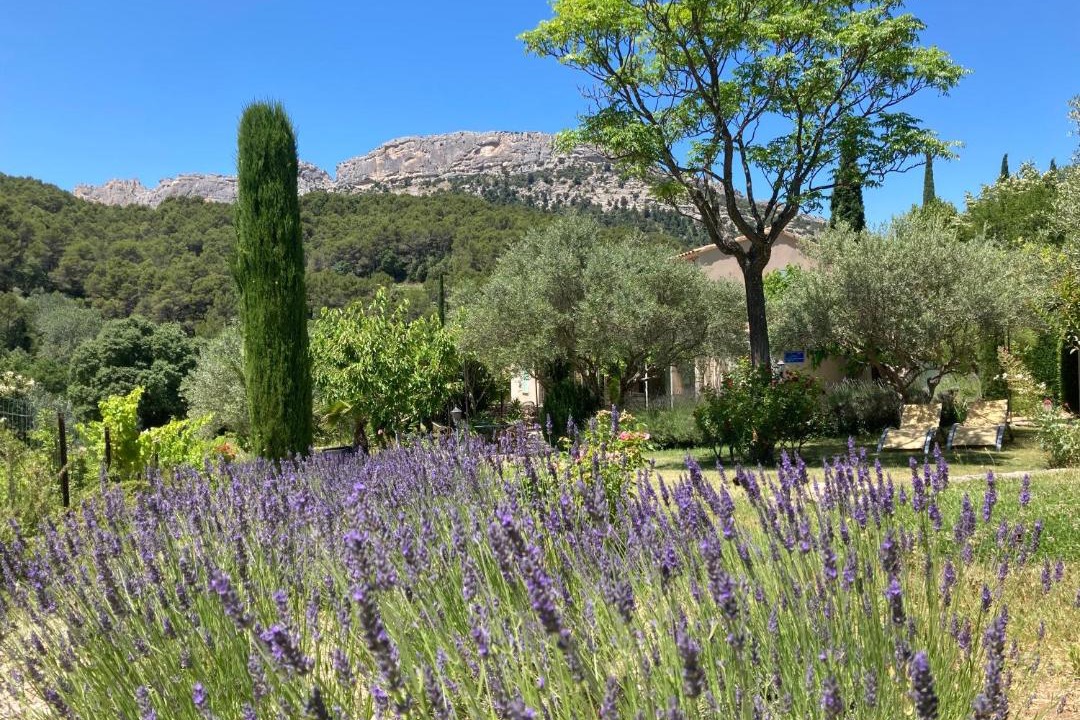 Photo of Outdoor in Lafare