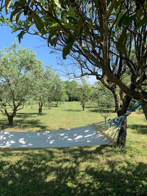 Photo of Outdoor in Bouchet