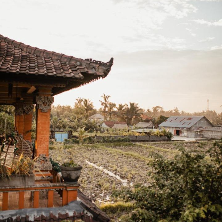 Photo of Others in Batuan
