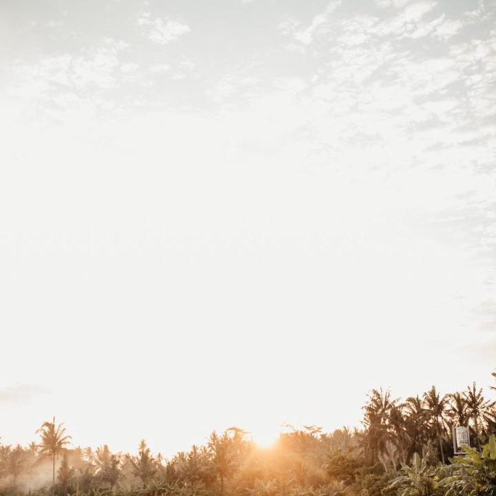 Photo of Others in Batuan