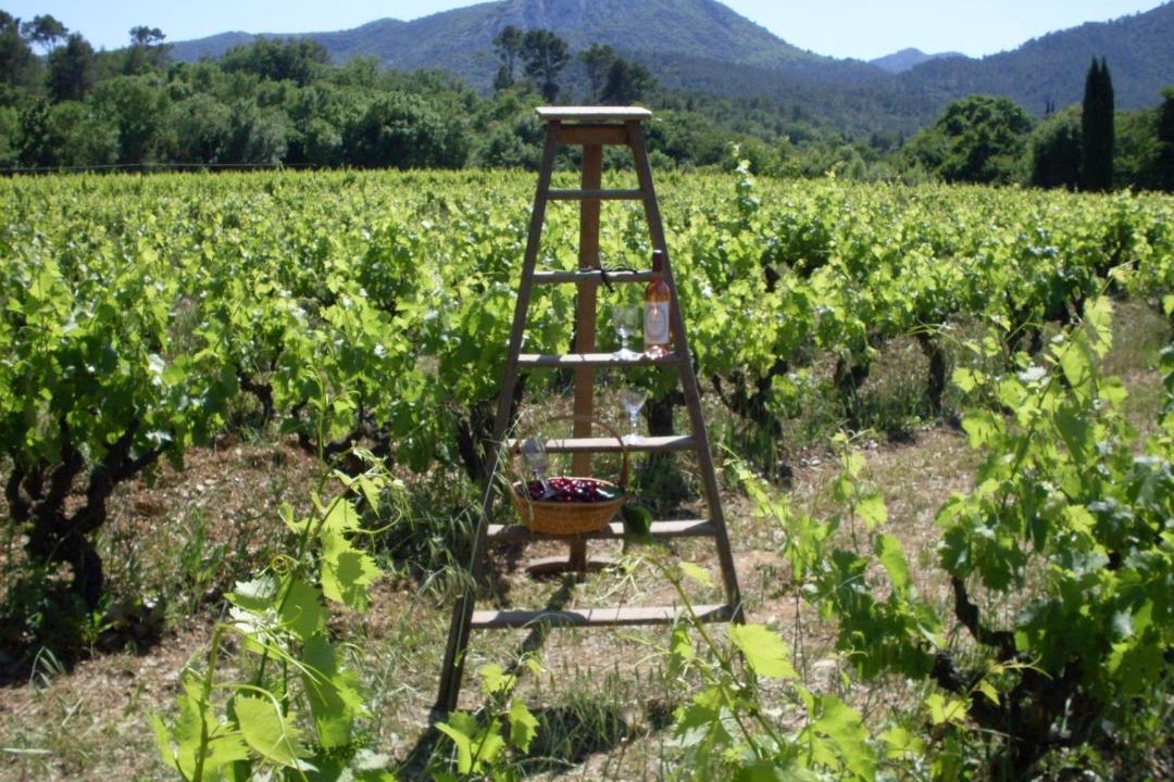 Photo of Others in Brignoles