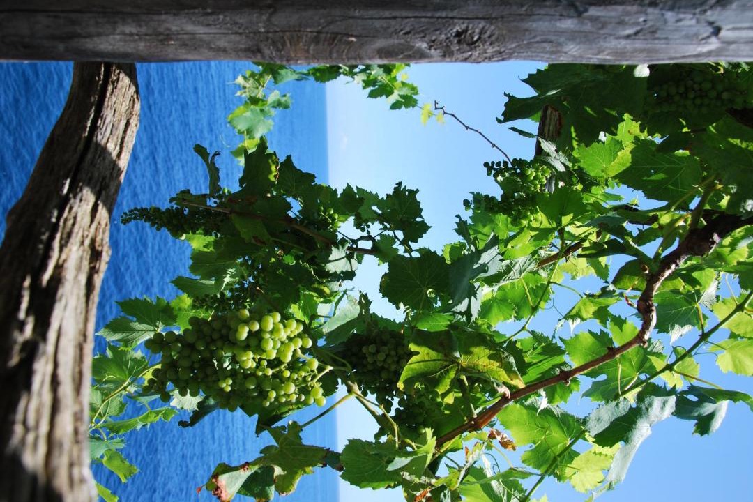 Photo of Others in Conca dei Marini