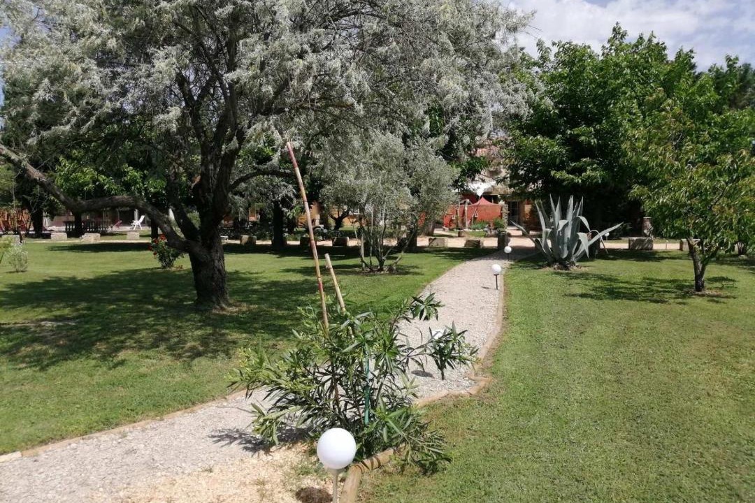 Photo of Others in Tarascon