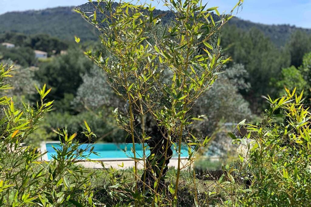 Photo of Outdoor in Roquefort-la-Bedoule