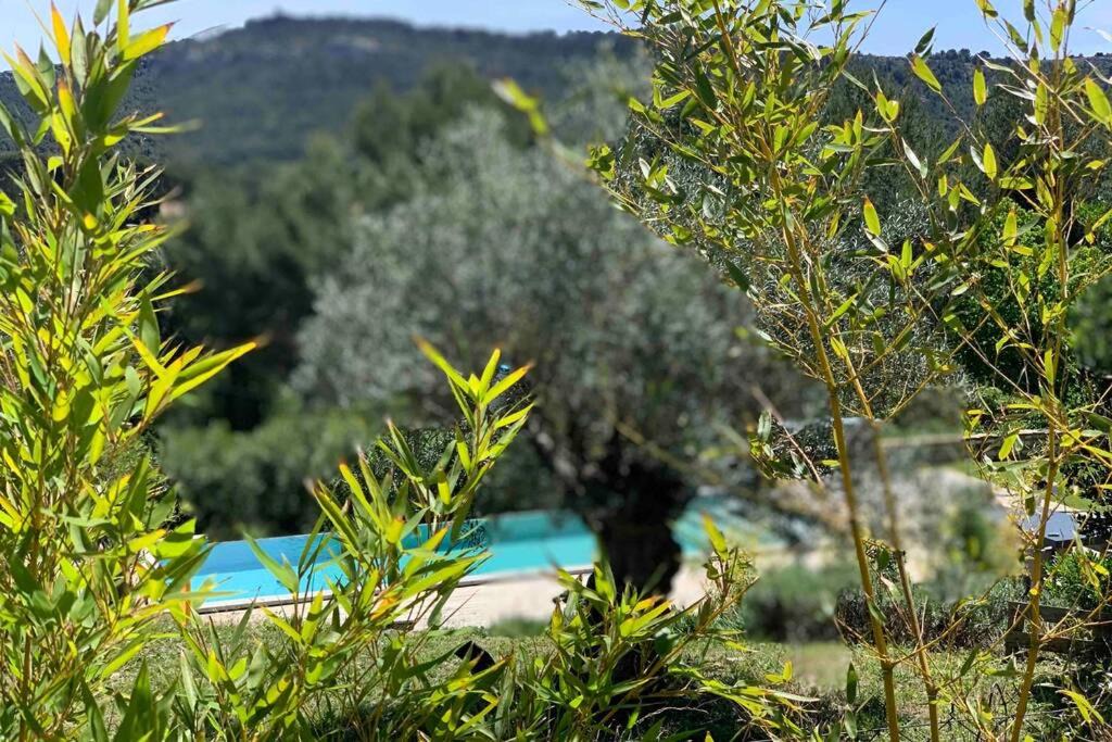 Photo of Outdoor in Roquefort-la-Bedoule
