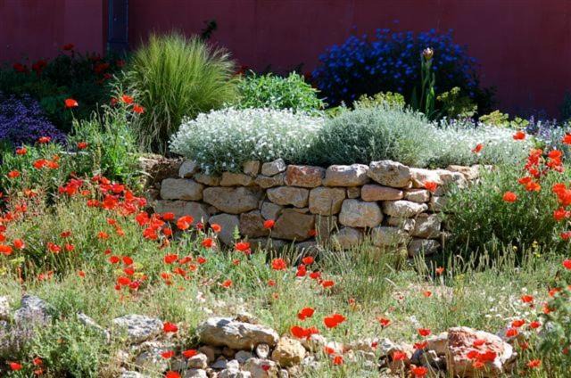 Photo of Others in Plan-d'Aups-Sainte-Baume