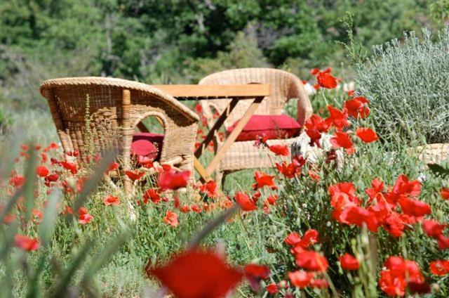 Photo of Patio Balcony in Plan-d'Aups-Sainte-Baume