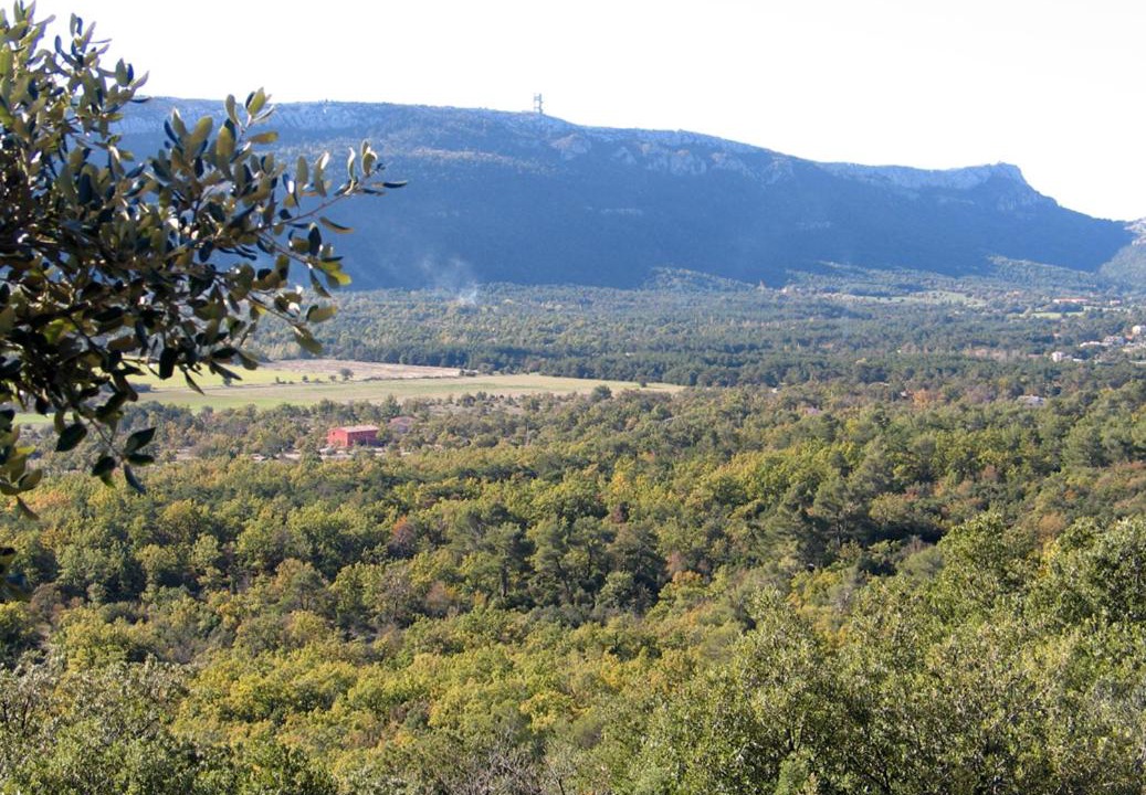 Photo of Outdoor in Plan-d'Aups-Sainte-Baume