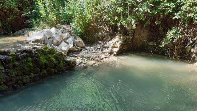 Photo of Others in Forcalquier
