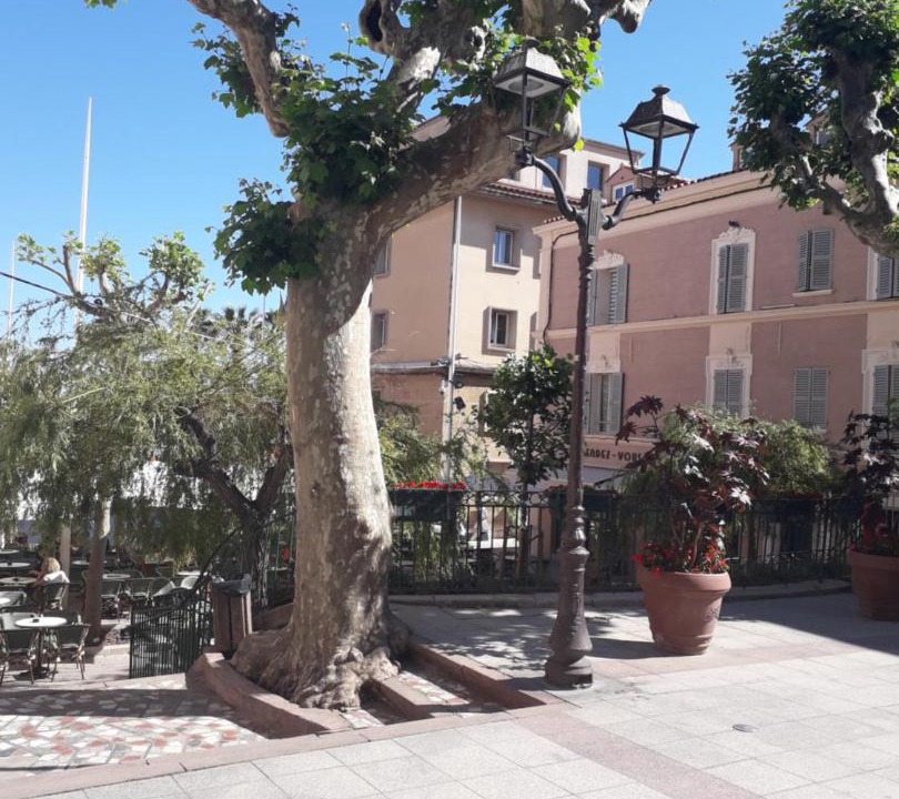Photo of Buildings in Bandol