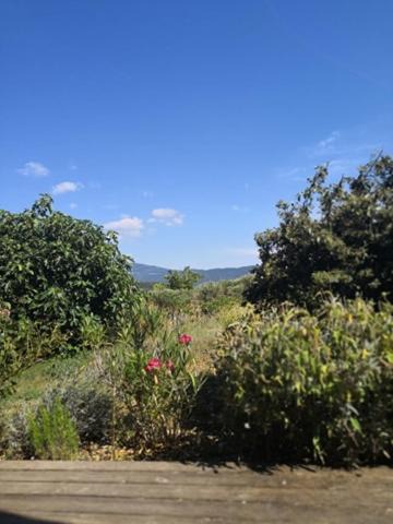 Photo of Outdoor in Crestet