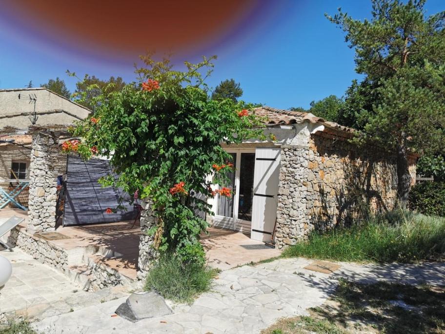 Photo of Others in Saint-Maximin-la-Sainte-Baume