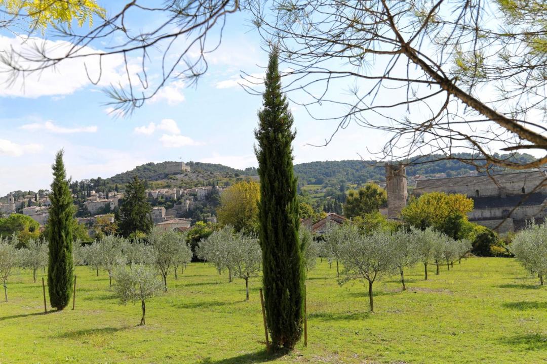 Photo of Others in Vaison-la-Romaine