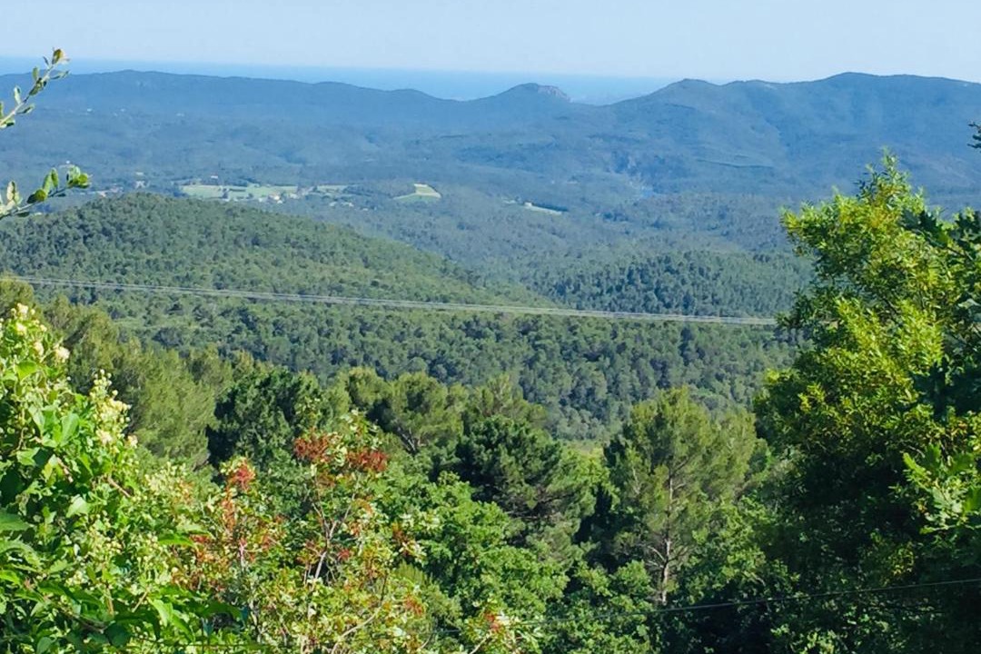 Photo of Outdoor in Seillans