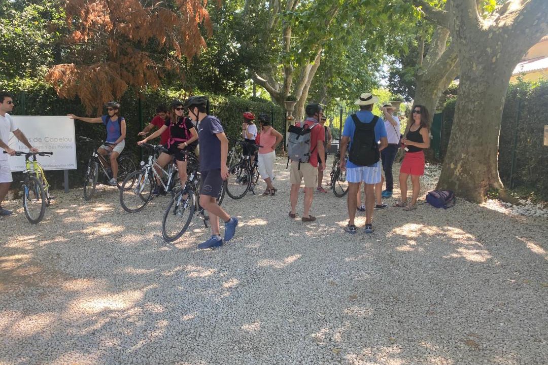 Photo of Outdoor in Avignon
