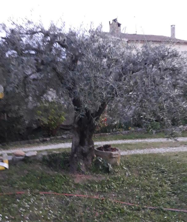 Photo of Outdoor in Montfrin