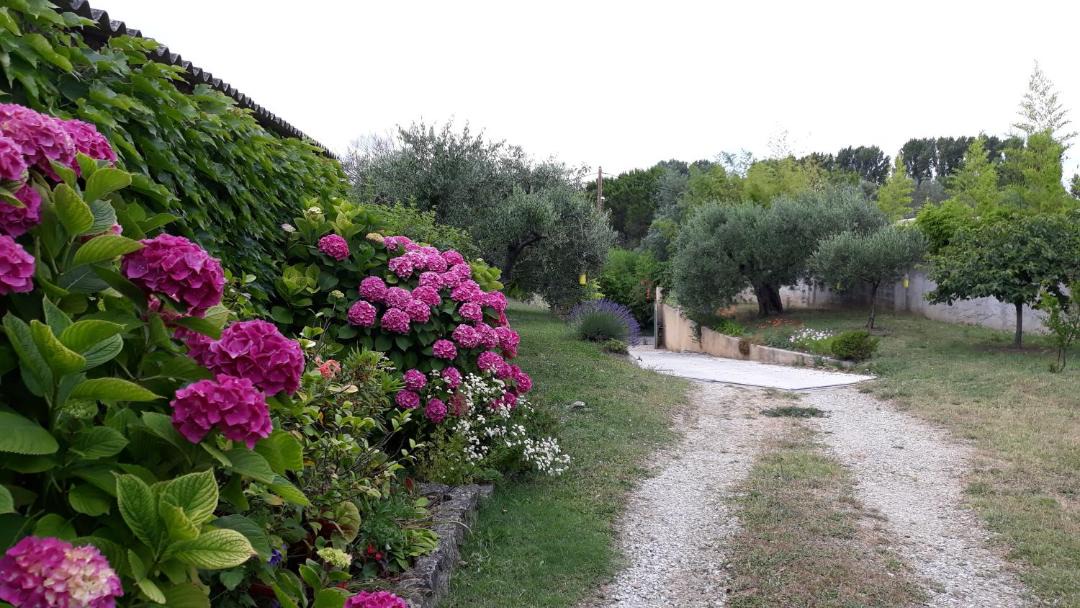 Photo of Others in Montfrin