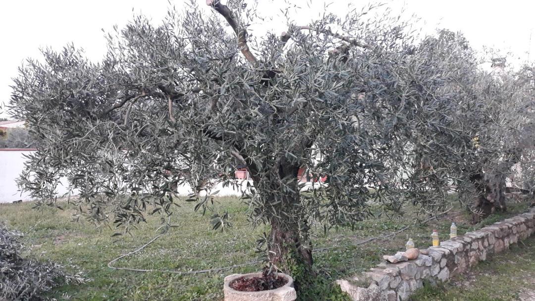 Photo of Outdoor in Montfrin