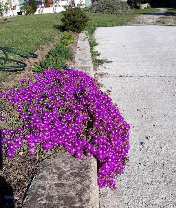 Photo of Outdoor in Montfrin