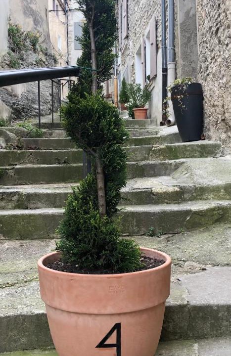 Photo of Others in Vaison-la-Romaine