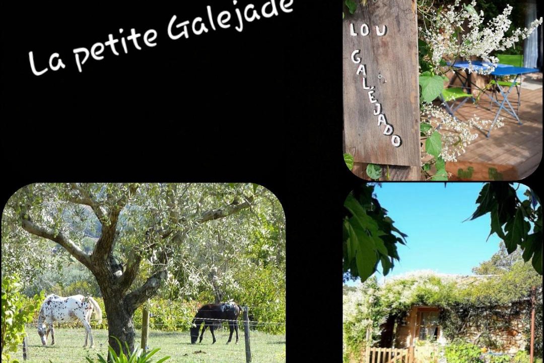 Photo of Others in Gordes